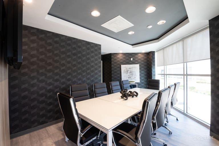 Comfortable, Sophisticated, and Modern 10 SEAT BLACK Conference Room 