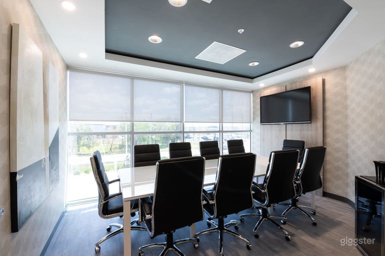  Comfortable, Sophisticated, and Modern 10 SEAT BLACK Conference Room 