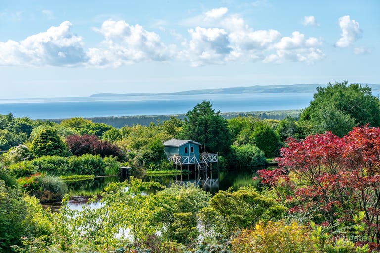  The Gardens With Magnificent  Trees, Flowers and Views 