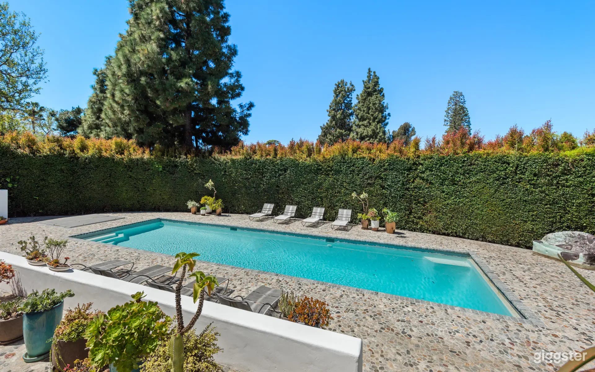 CINEMATIC ESTATE OUTDOOR POOL Photo 4