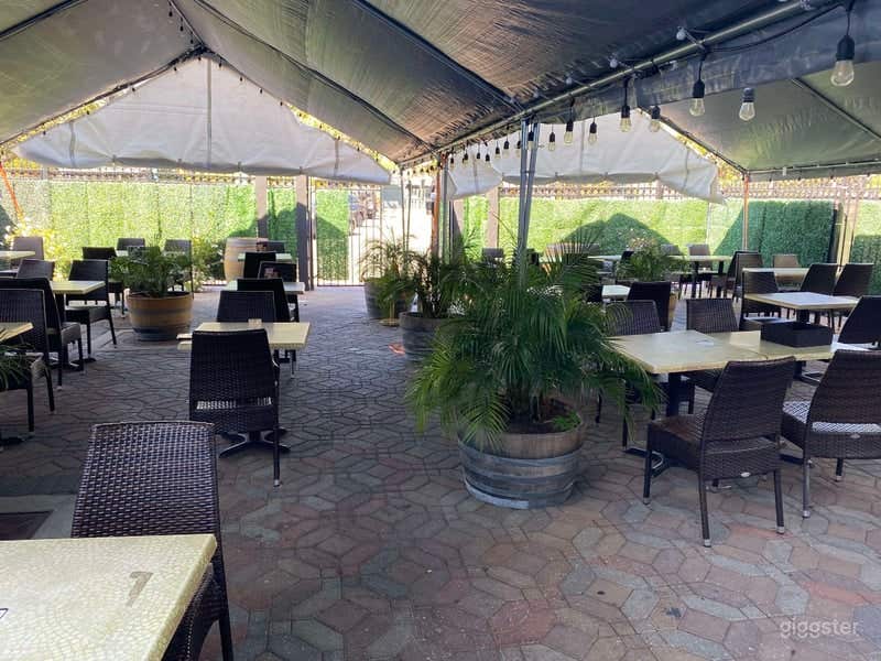 Bright, Comfy Outdoor Back Patio Photo 1