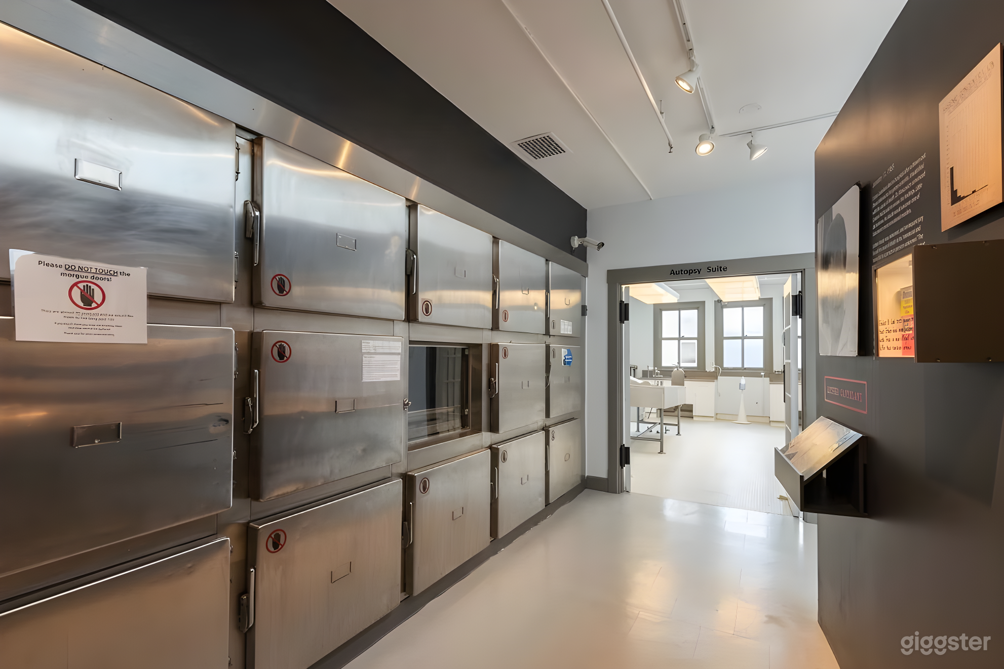 The Morgue Autopsy Set Photo 2