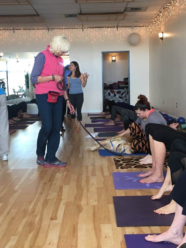  Serene, Bright, and Open, Flooded with Natural Sunlight Yoga Studio in EastSide Albuquerque 