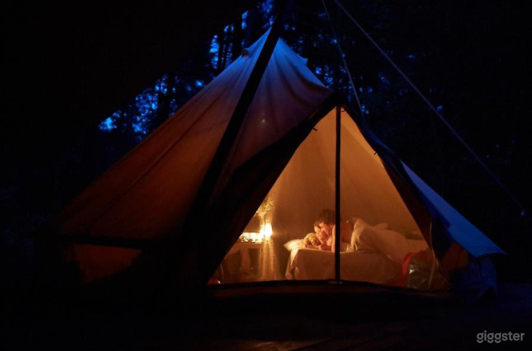Woodland Campsite Photo 4