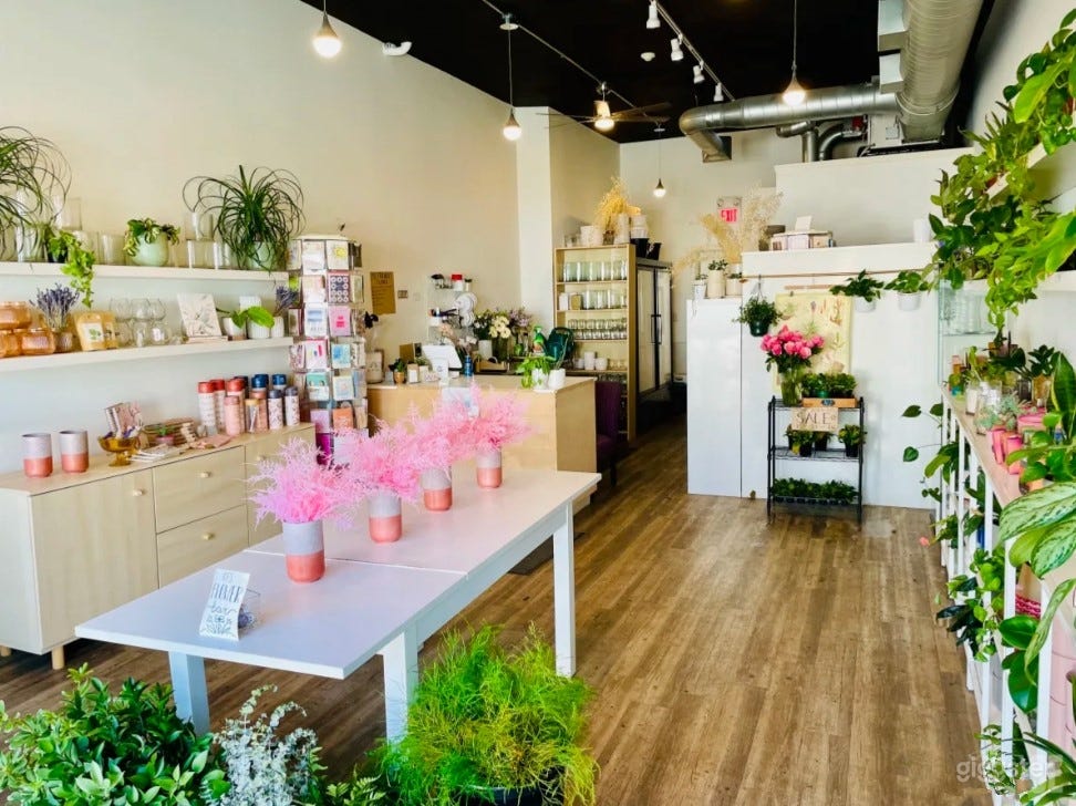 Sunlit Studio Filled with Live Plants and Flowers Photo 3