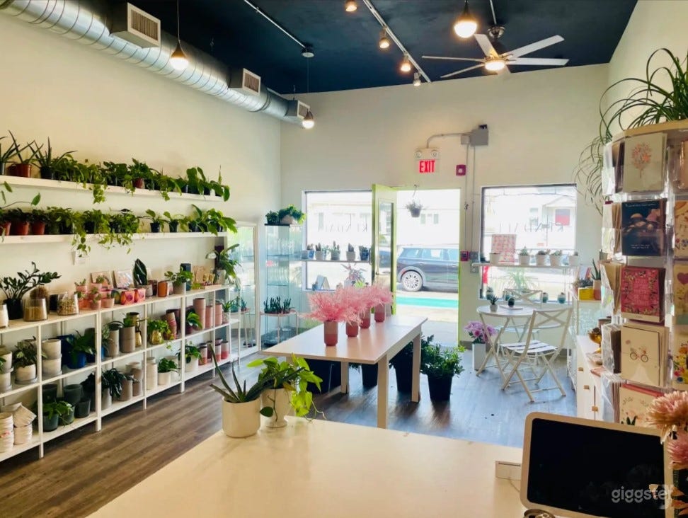 Sunlit Studio Filled with Live Plants and Flowers Photo 4