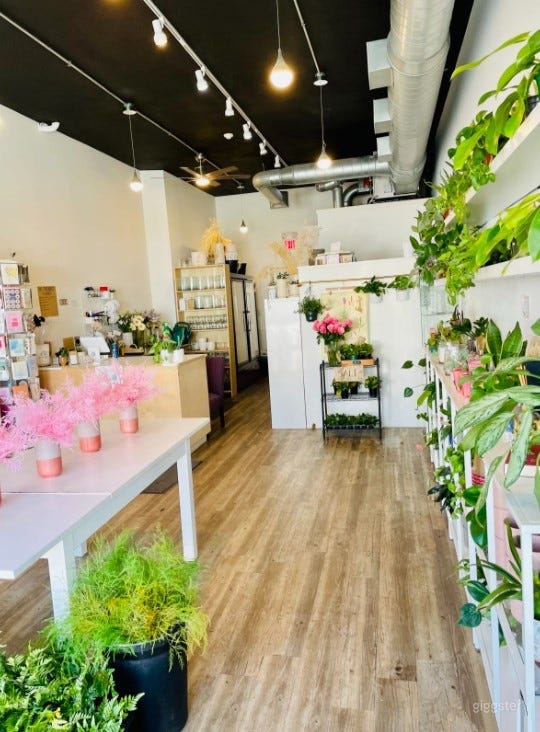 Sunlit Studio Filled with Live Plants and Flowers Photo 2