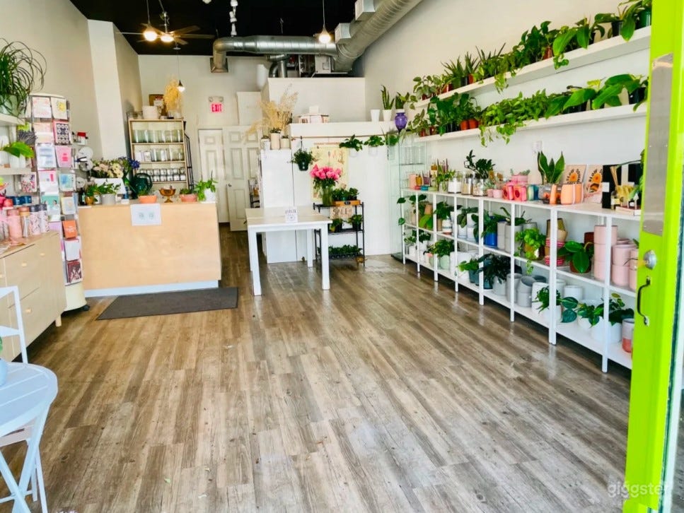 Sunlit Studio Filled with Live Plants and Flowers Photo 1