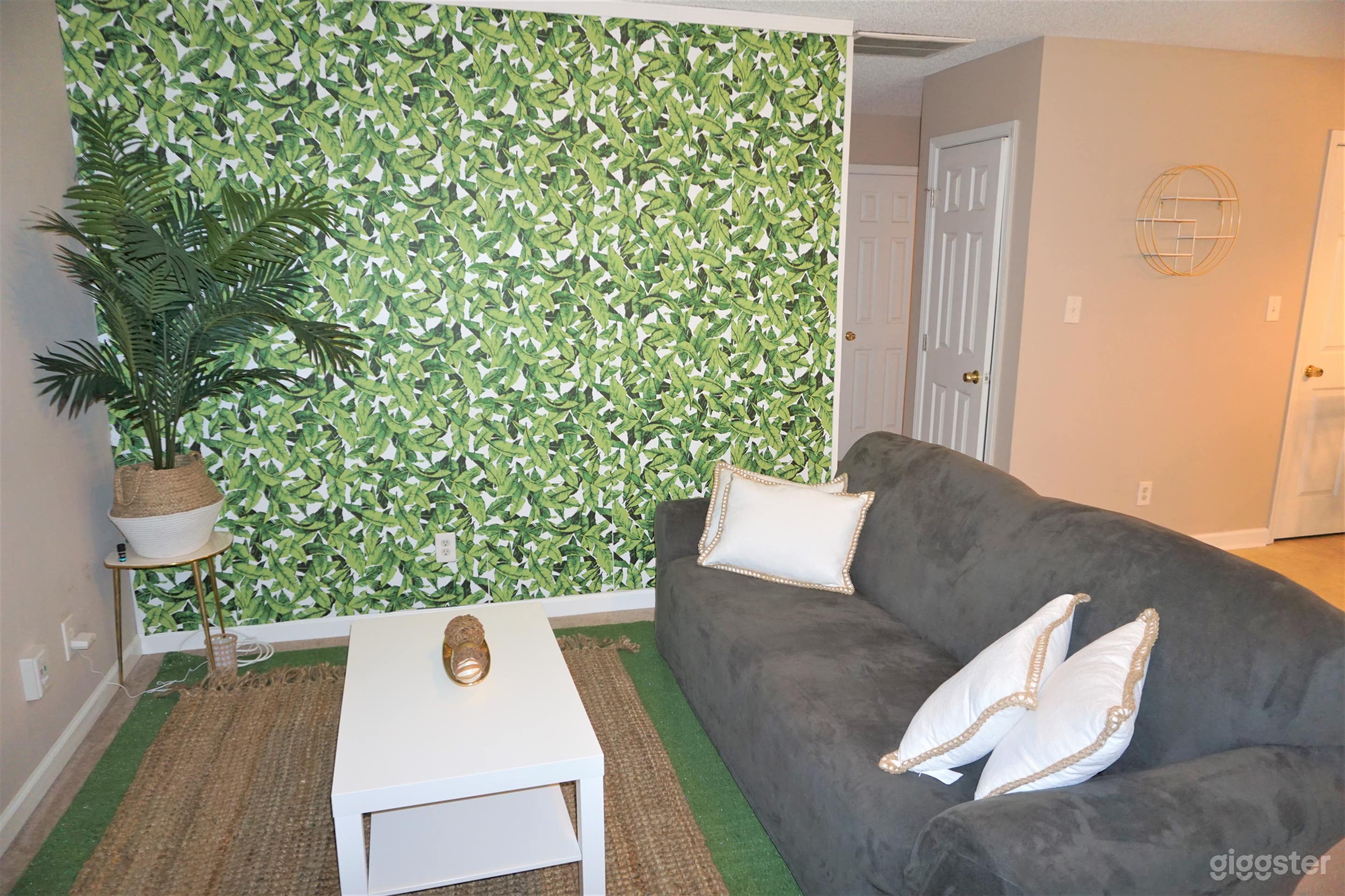 Safari Theme Film/Photo Setup Photo 1