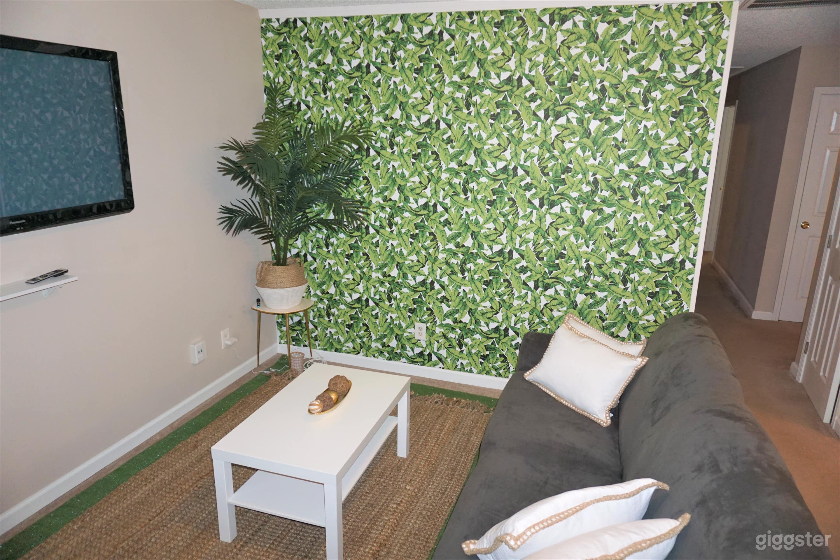 Safari Theme Film/Photo Setup Photo 3