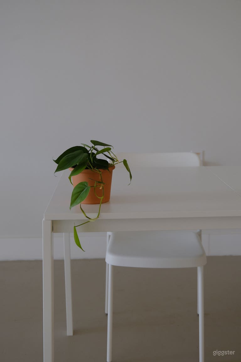  Natural Lighting Photography Studio/Event Space 