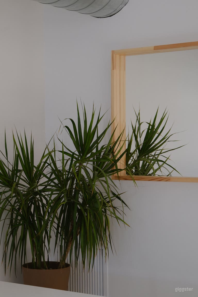  Natural Lighting Photography Studio/Event Space 