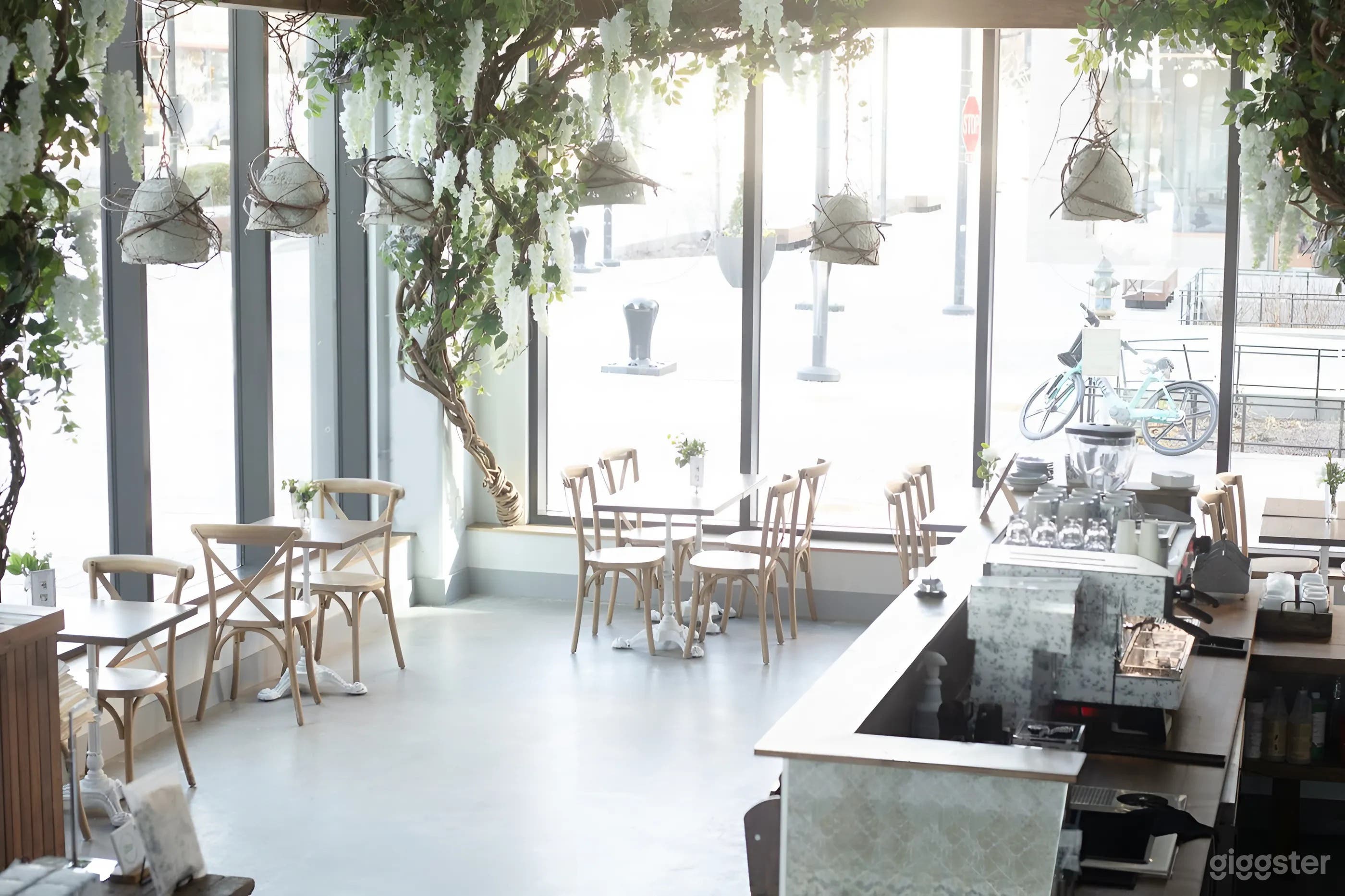 Cozy French-Inspired Café with Rustic Charm &amp; Floral Accents (NAVY YARD) Photo 3