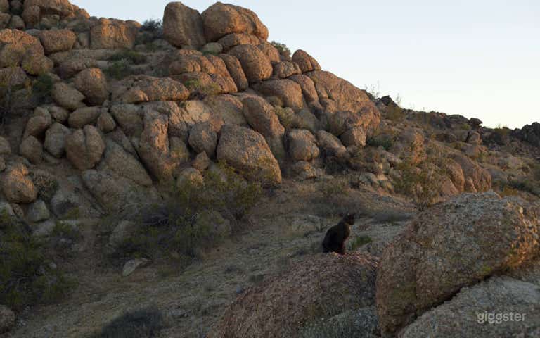  Joshua Tree Boulders 