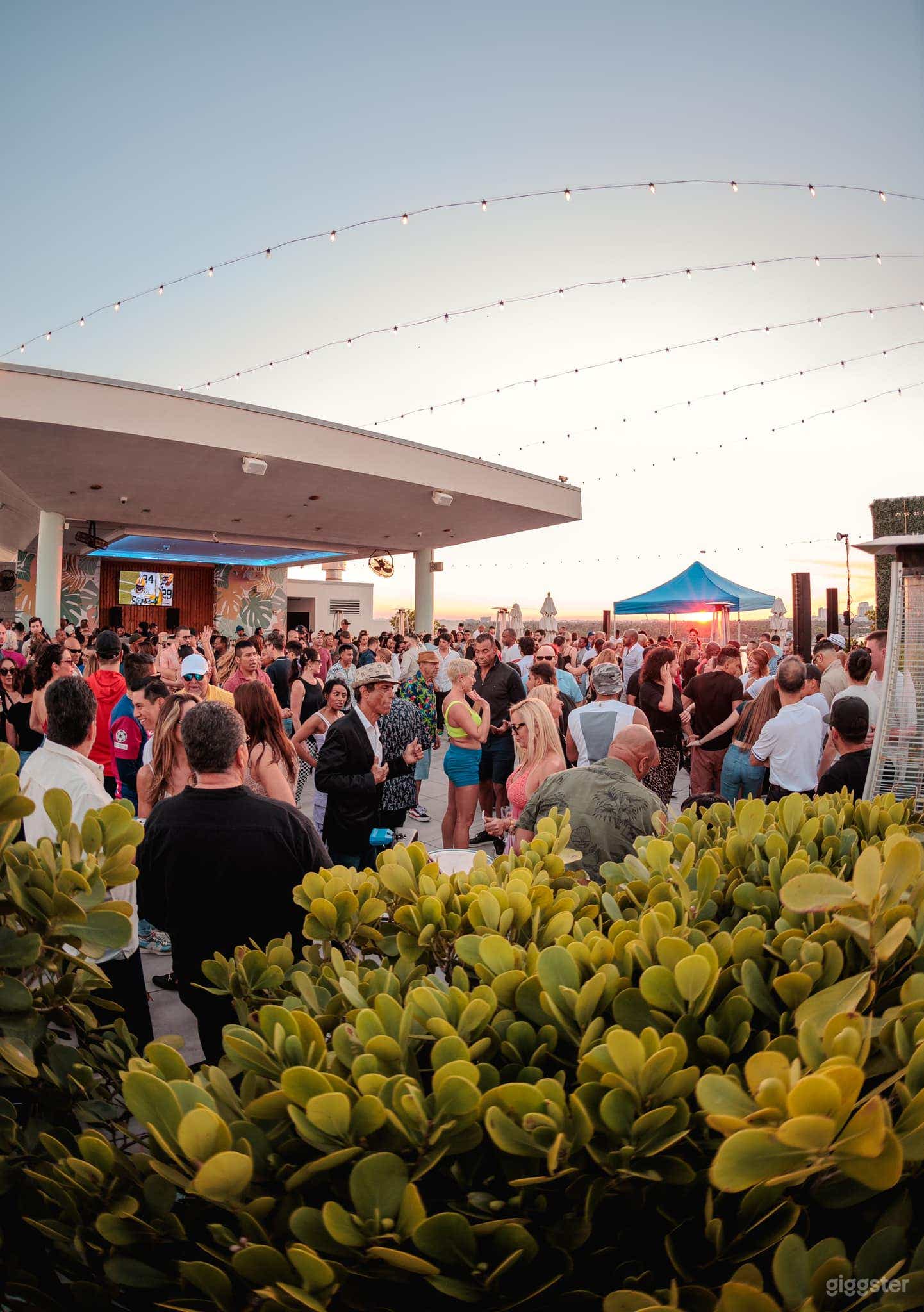 Stylish Rooftop Lounge with Water View in Hollywood Beach Photo 2