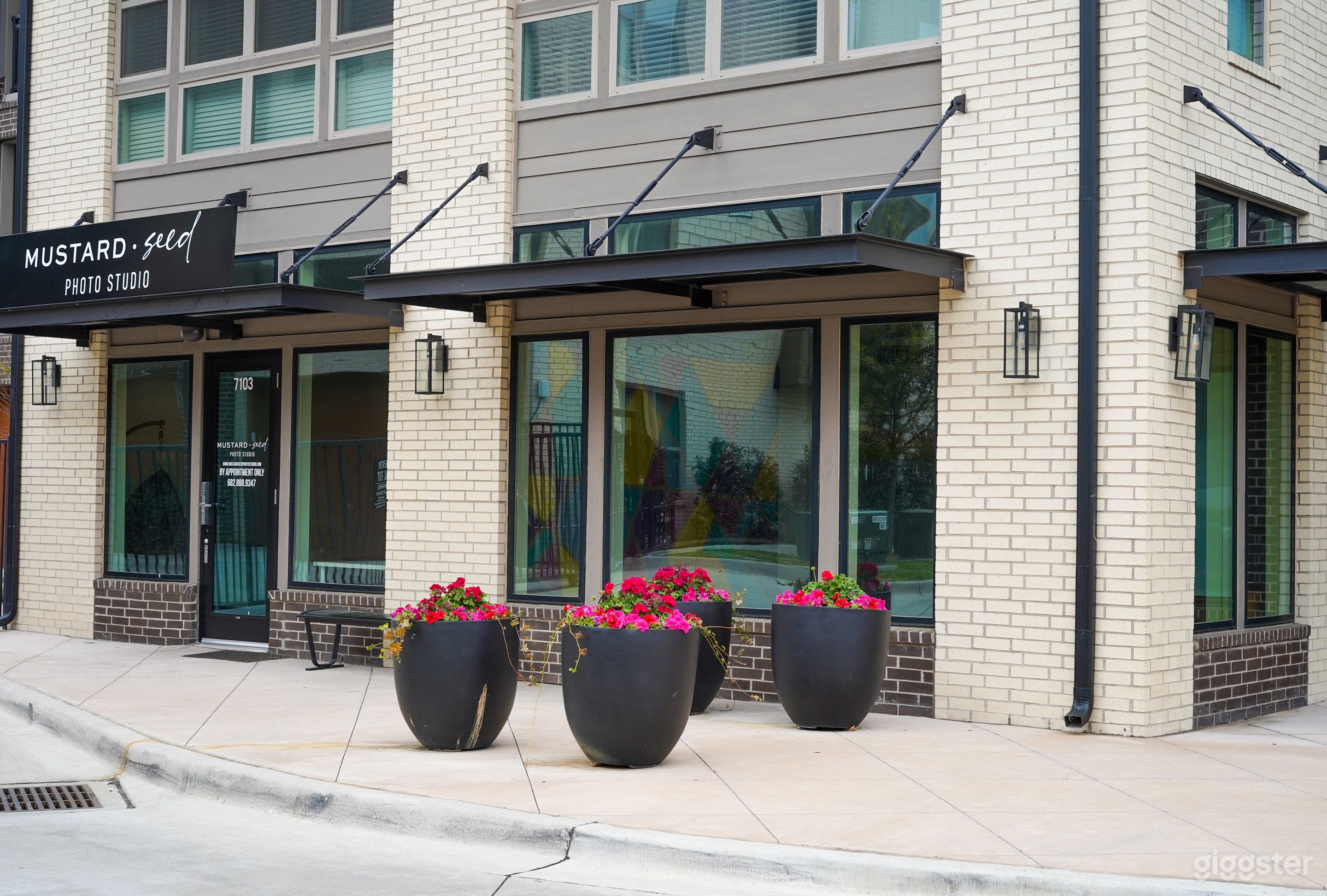 Natural Light Studio in Dallas Photo 2