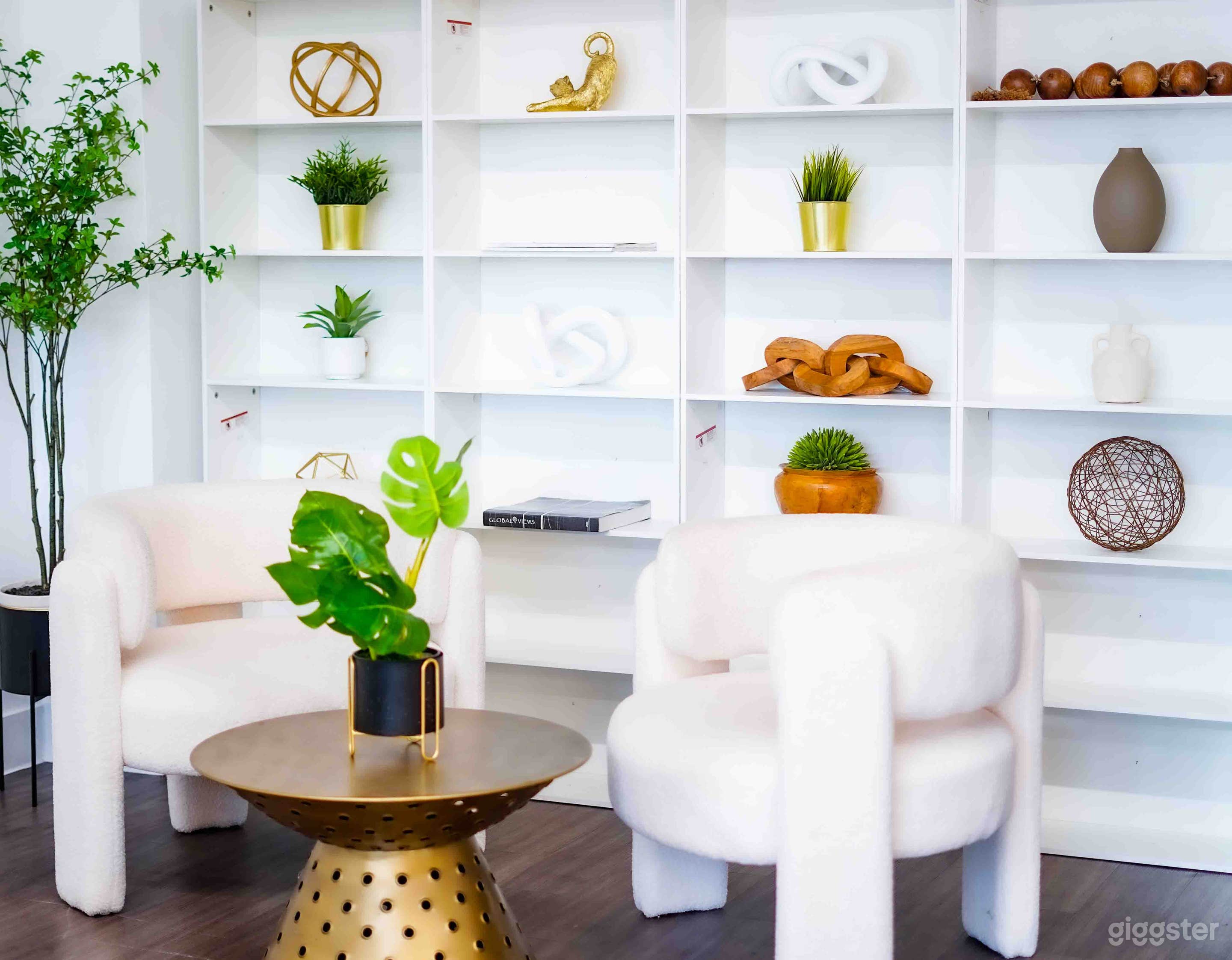 Natural Light Studio in Dallas Photo 4