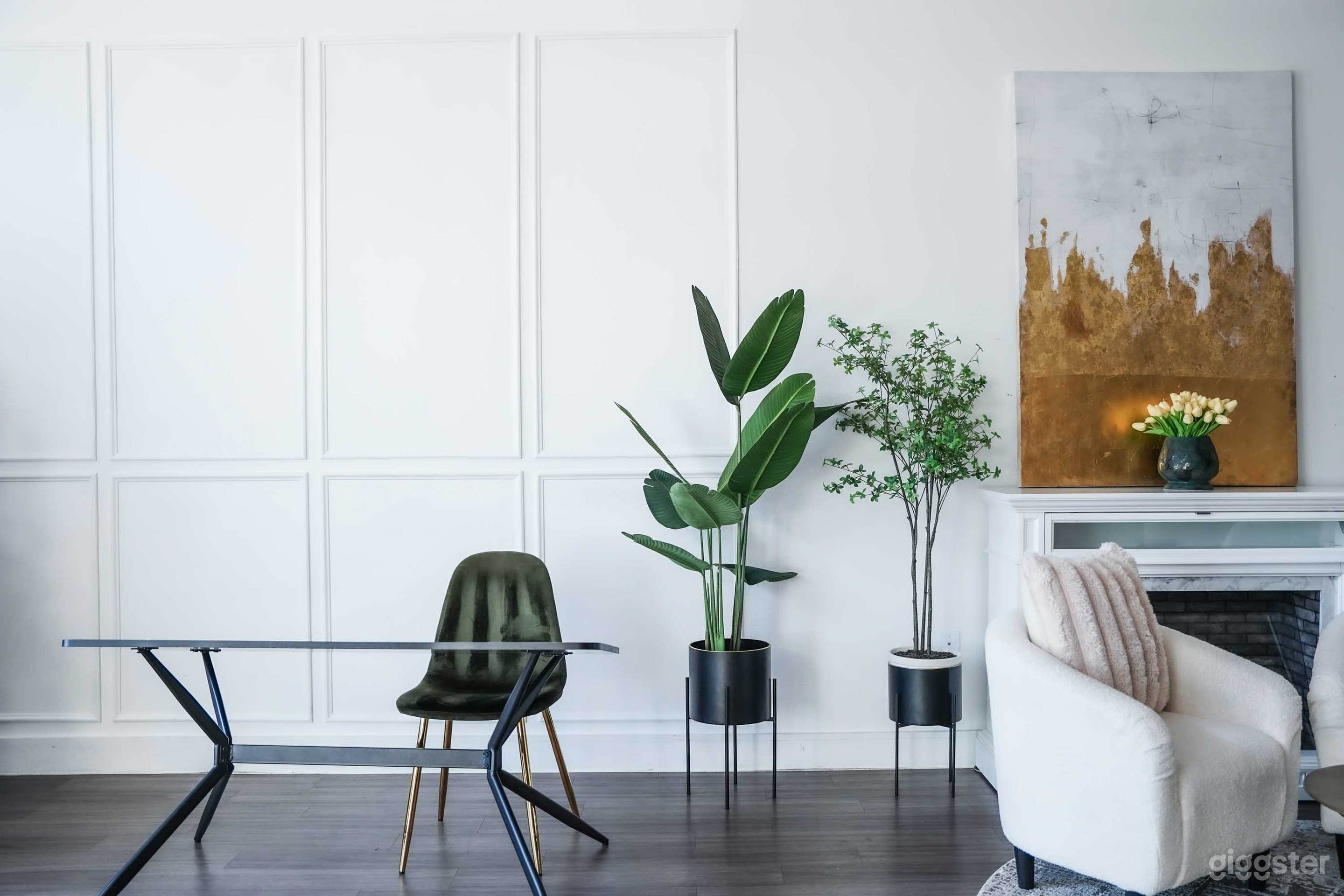 Natural Light Studio in Dallas Photo 1