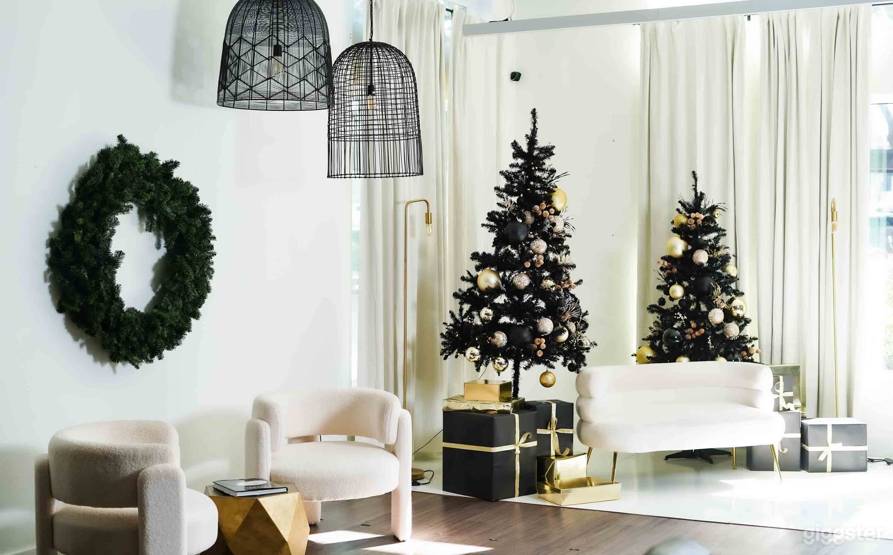 Natural Light Studio in Dallas Photo 4