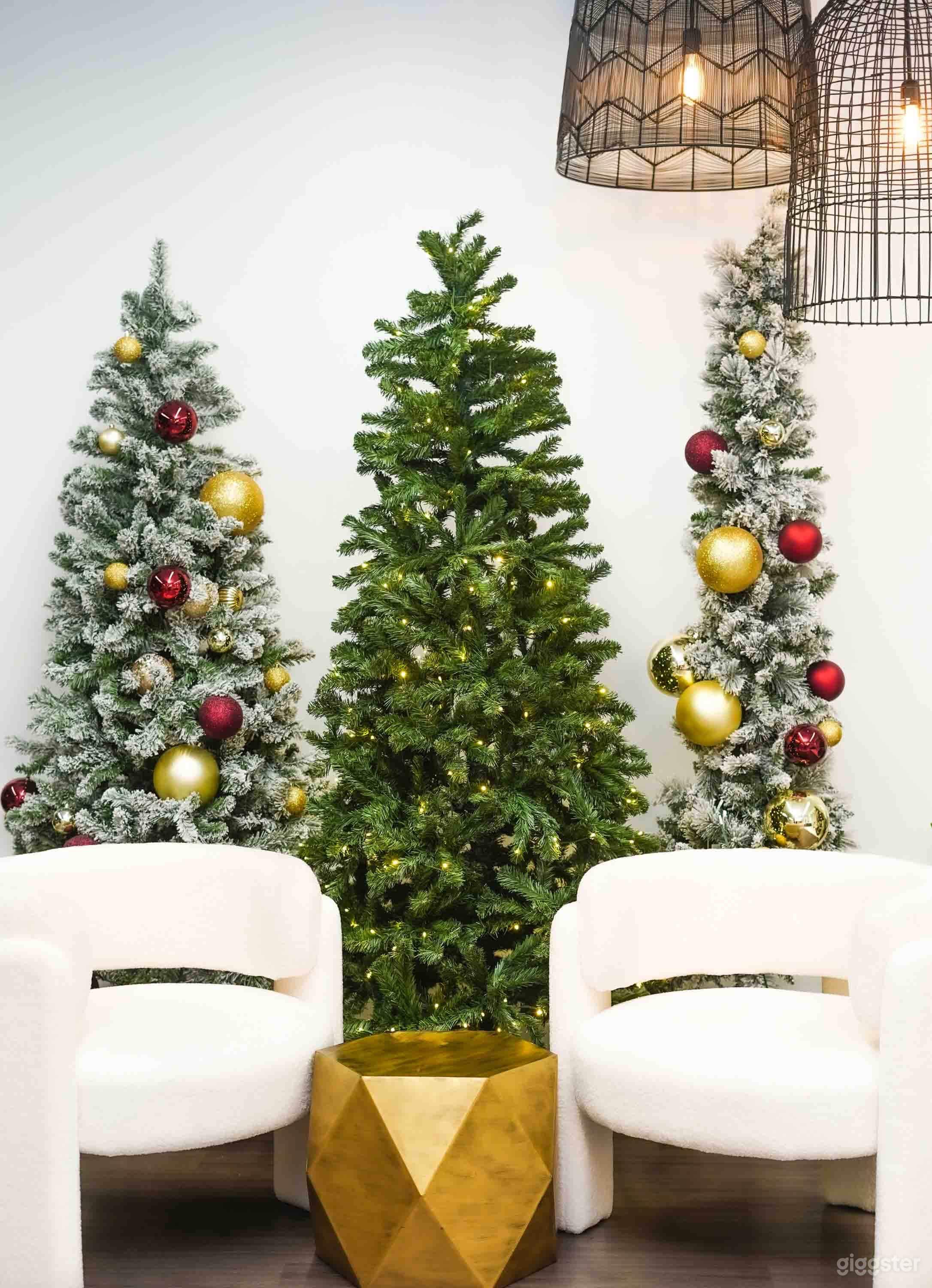 Natural Light Studio in Dallas Photo 2