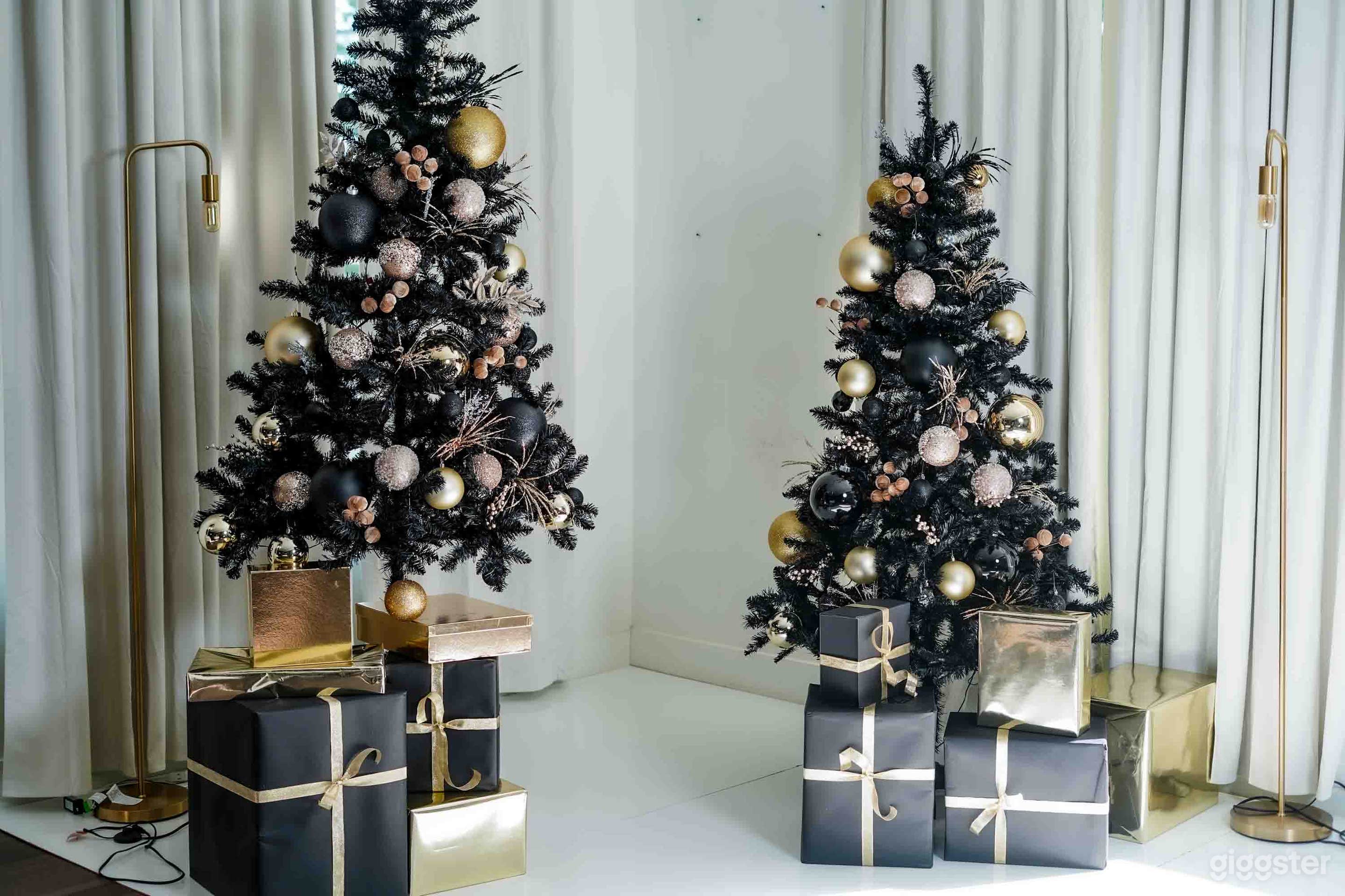 Natural Light Studio in Dallas Photo 3