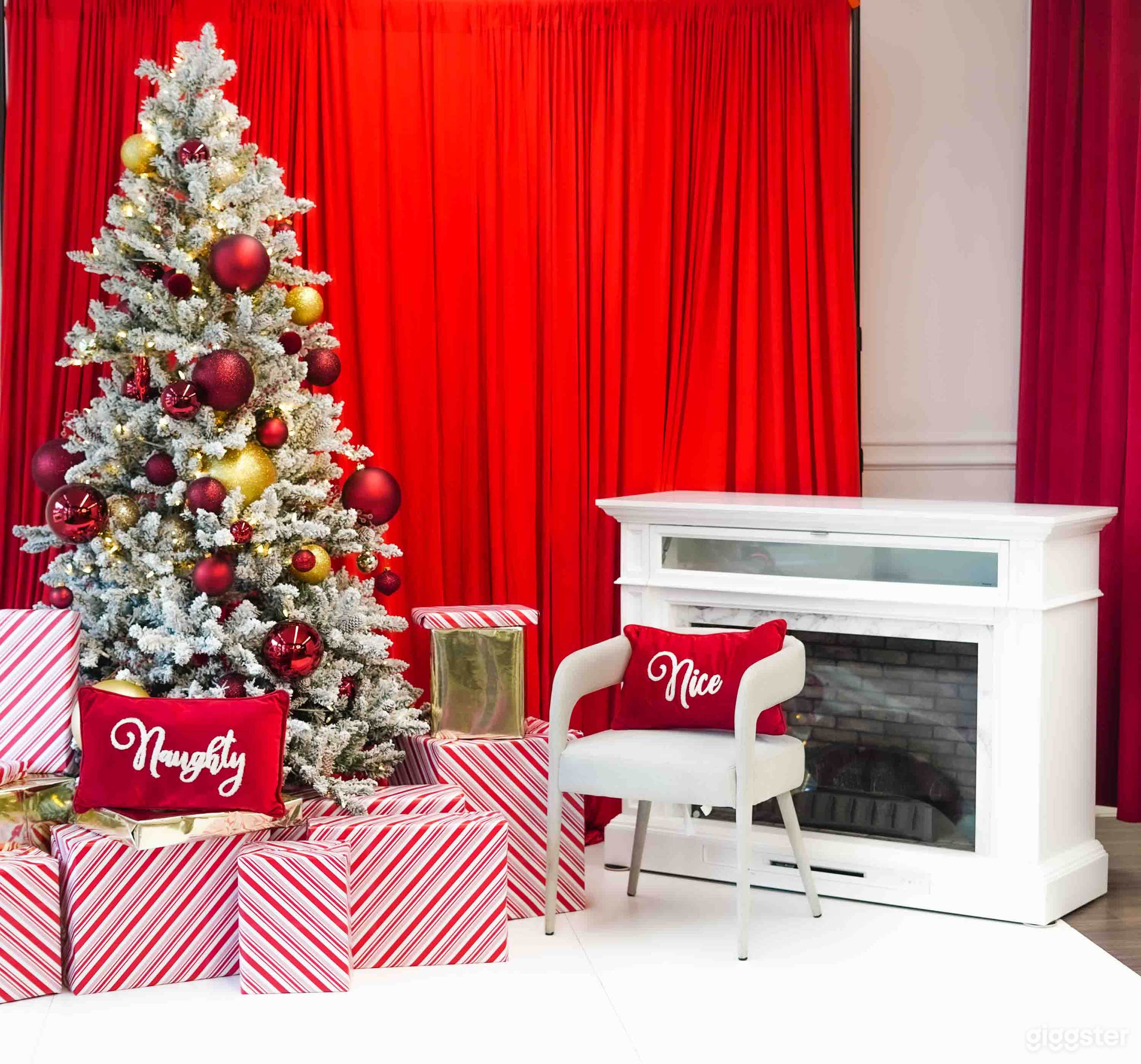 Natural Light Studio in Dallas Photo 1