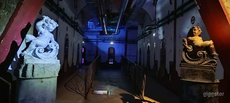  Rock Zone Musical Cellar 