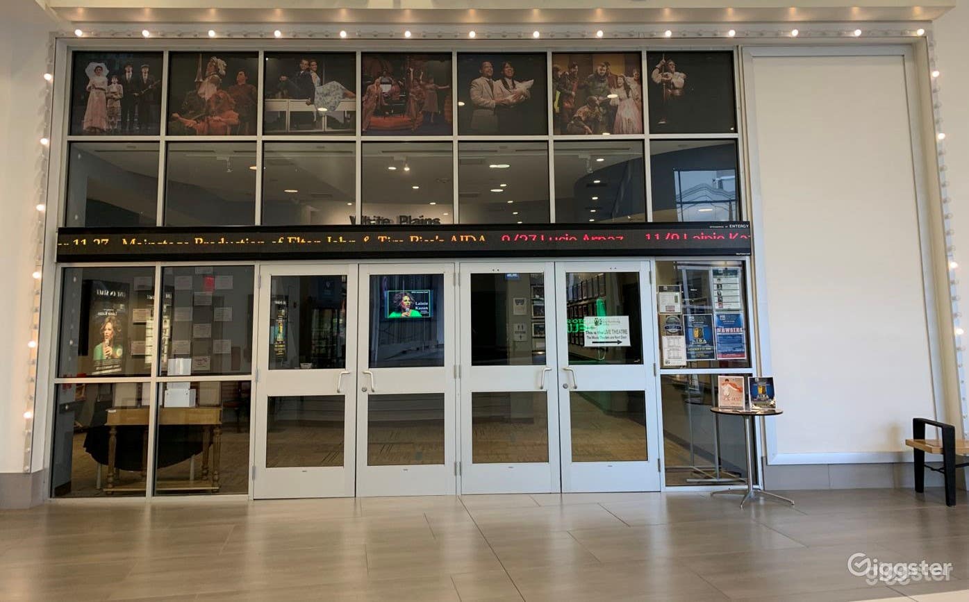 Spacious Theater in White Plains Photo 1