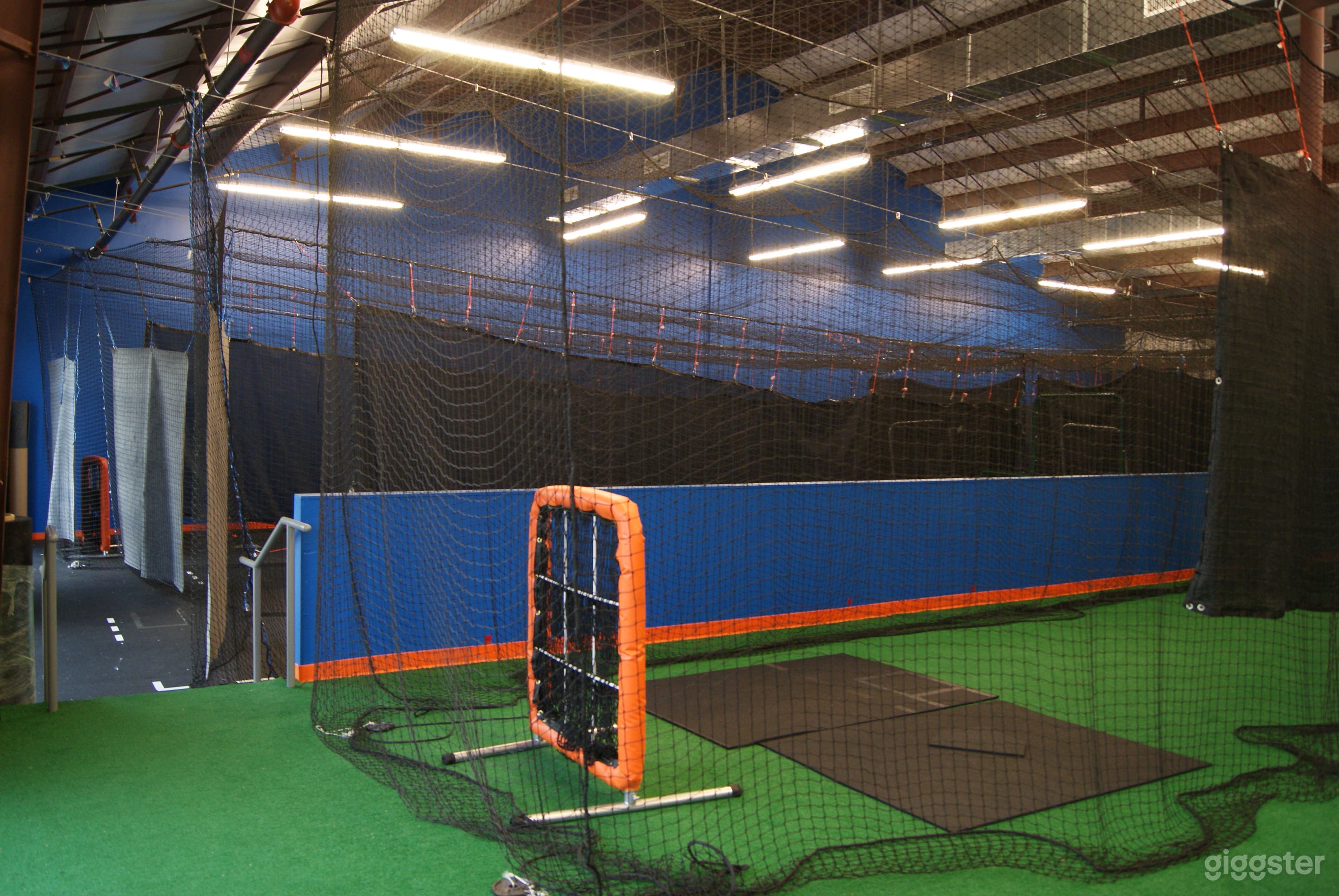 Turf (Back) and Batting Cages