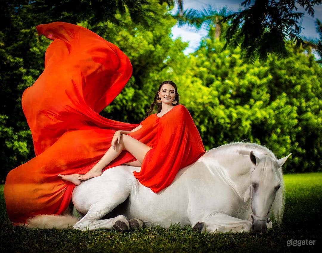 Gorgeous Manson,gardens,pool,fountains,waterfalls Photo 3