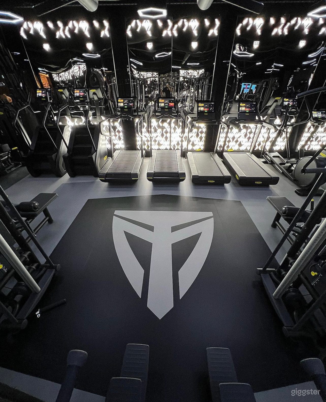 Gym Luxury VIP fitness Photo 1