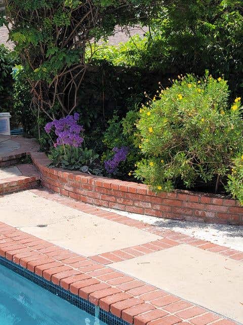 Private Oasis in Tarzana Photo 2