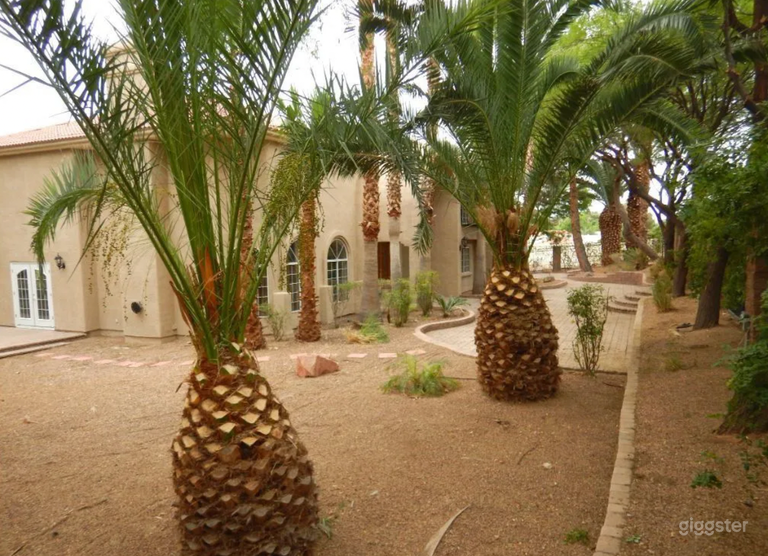  Side Yard of our Front Entrance 