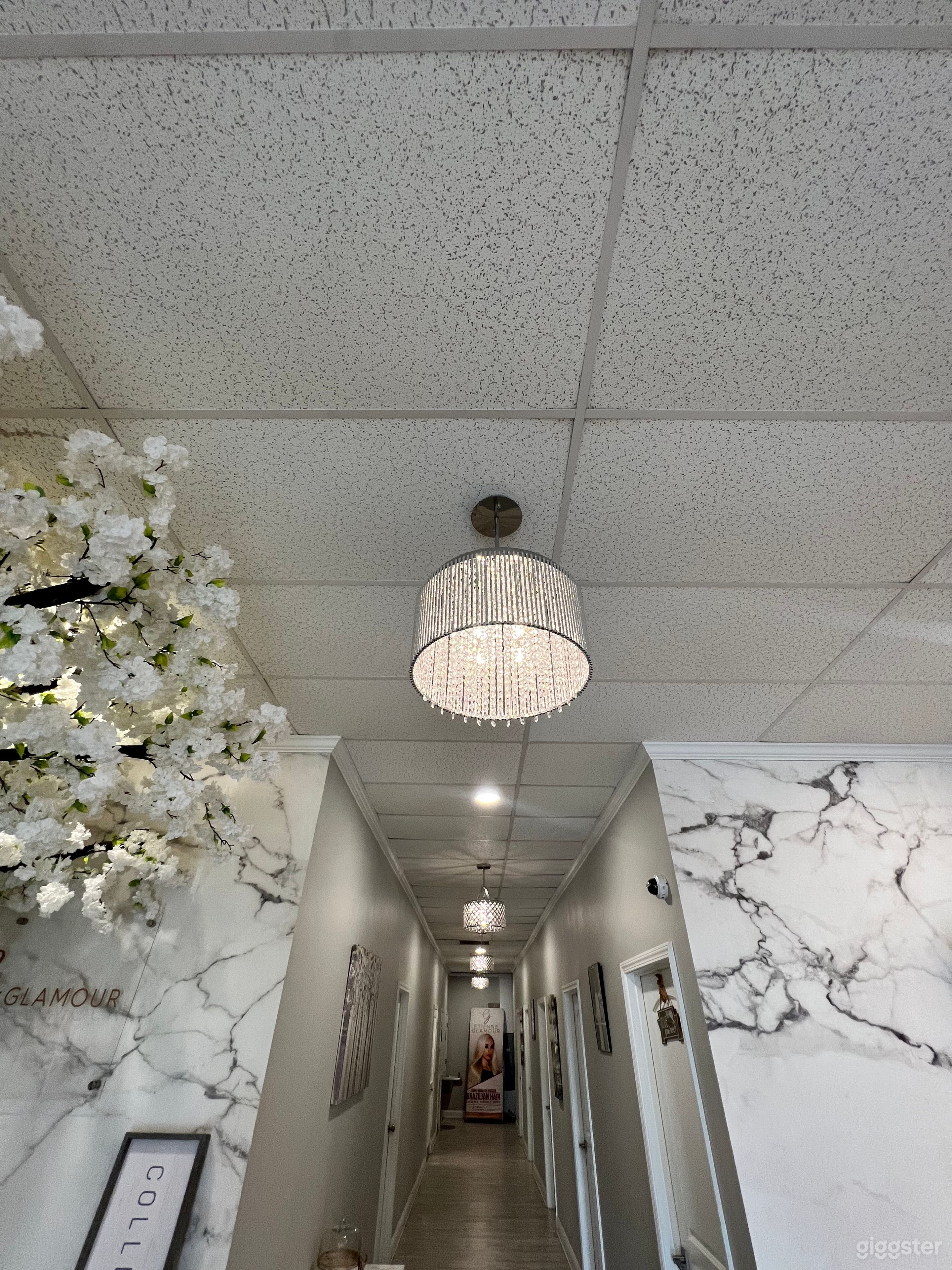 Gorgeous chandeliers 