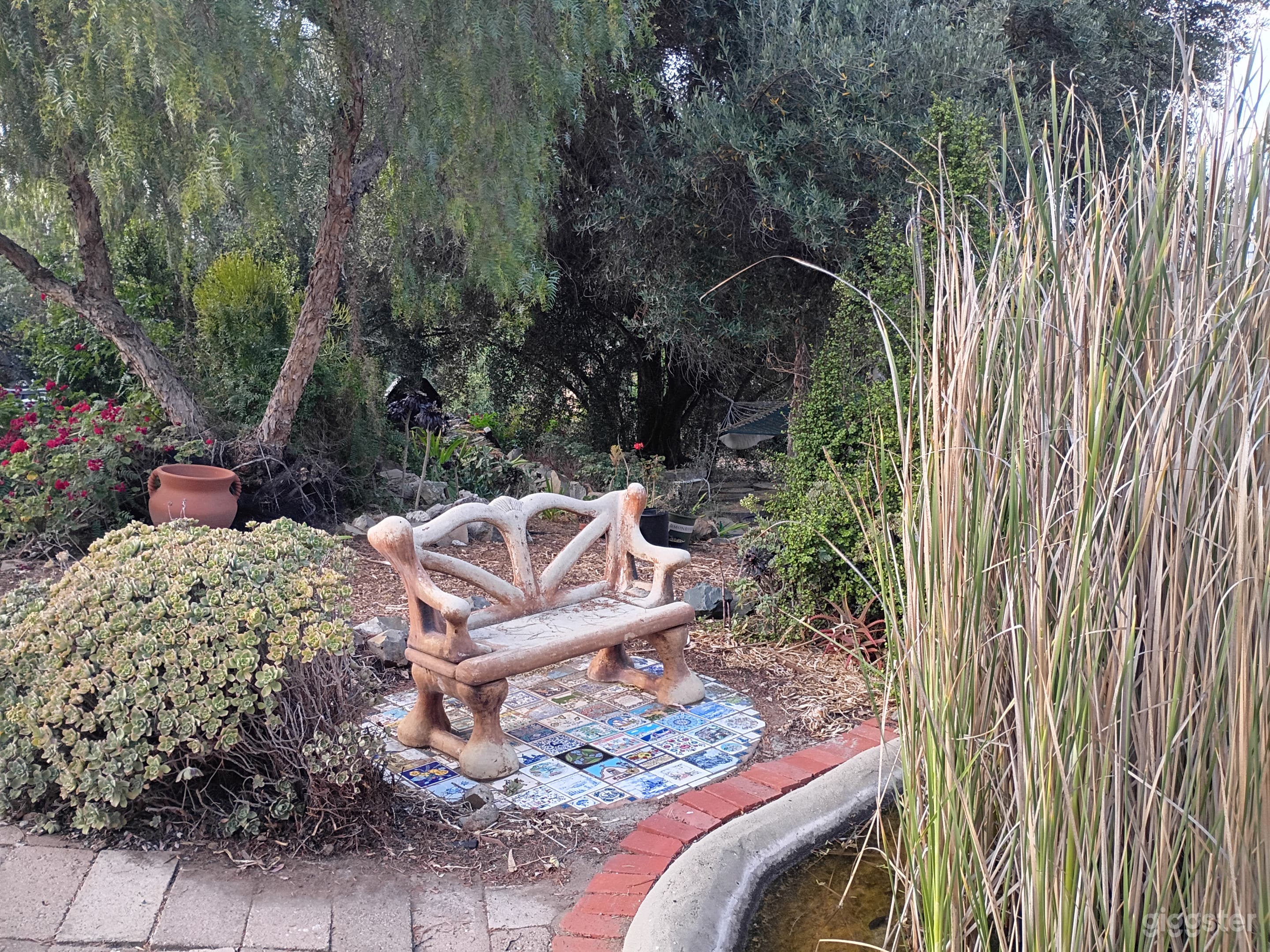 1940s Rustic California Ranch, Central San Diego Photo 4