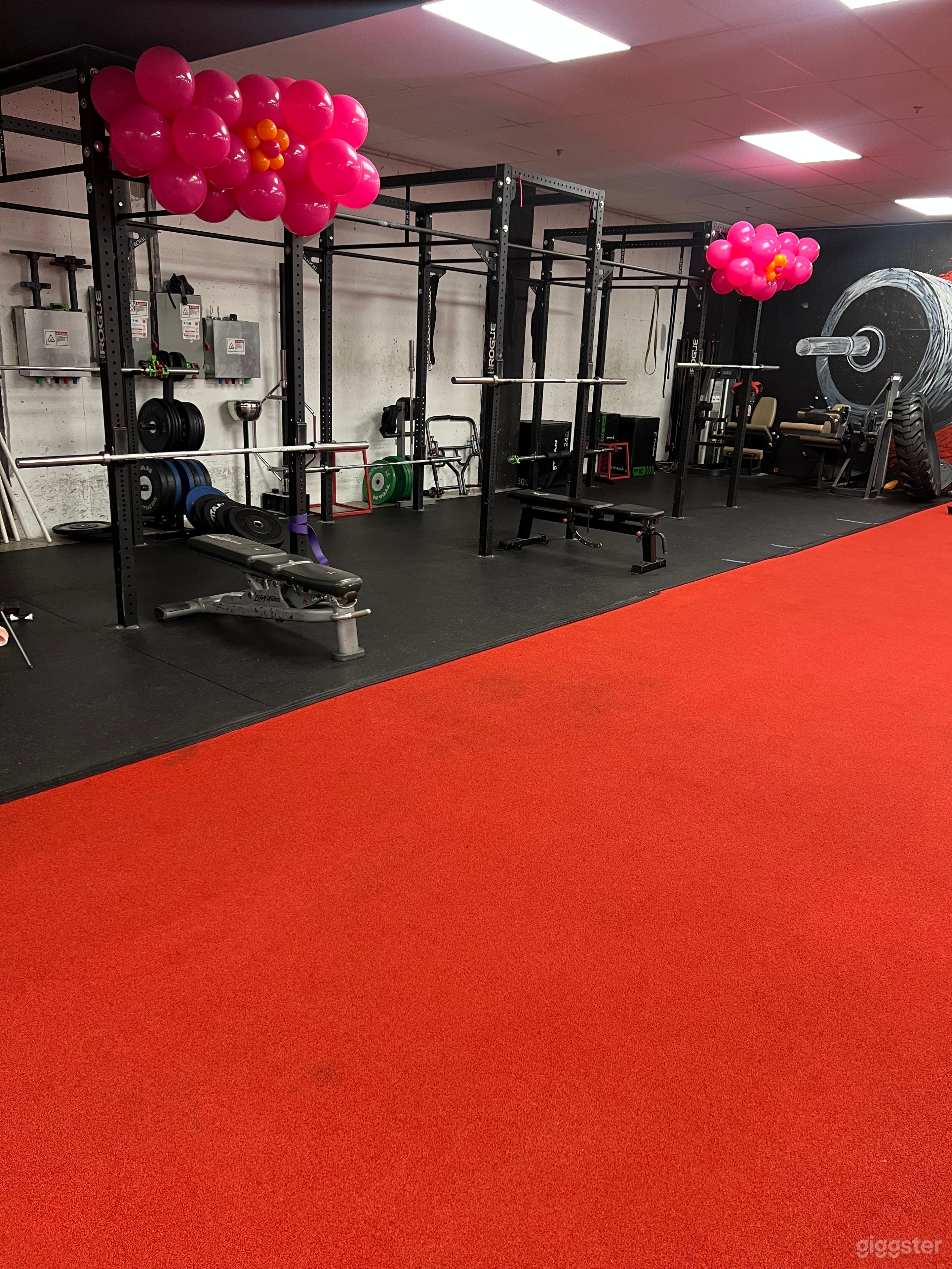 perfect for movie shoots