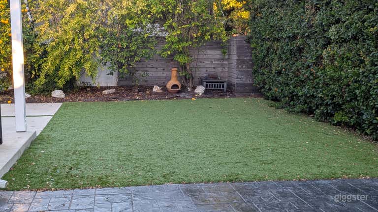  Modern Outdoor Backyard 