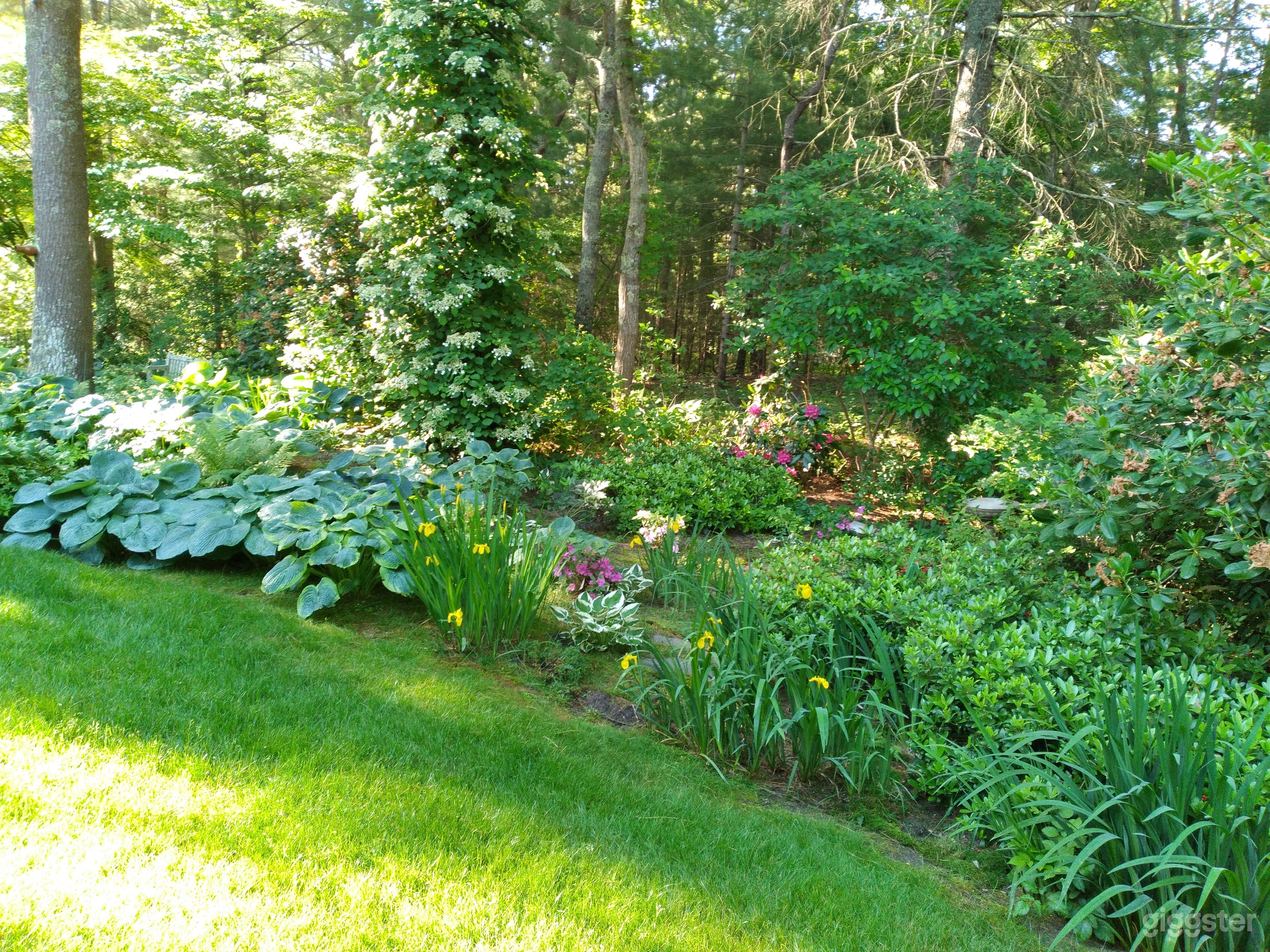 Elegant Home in Seaside Community of Osterville Photo 3