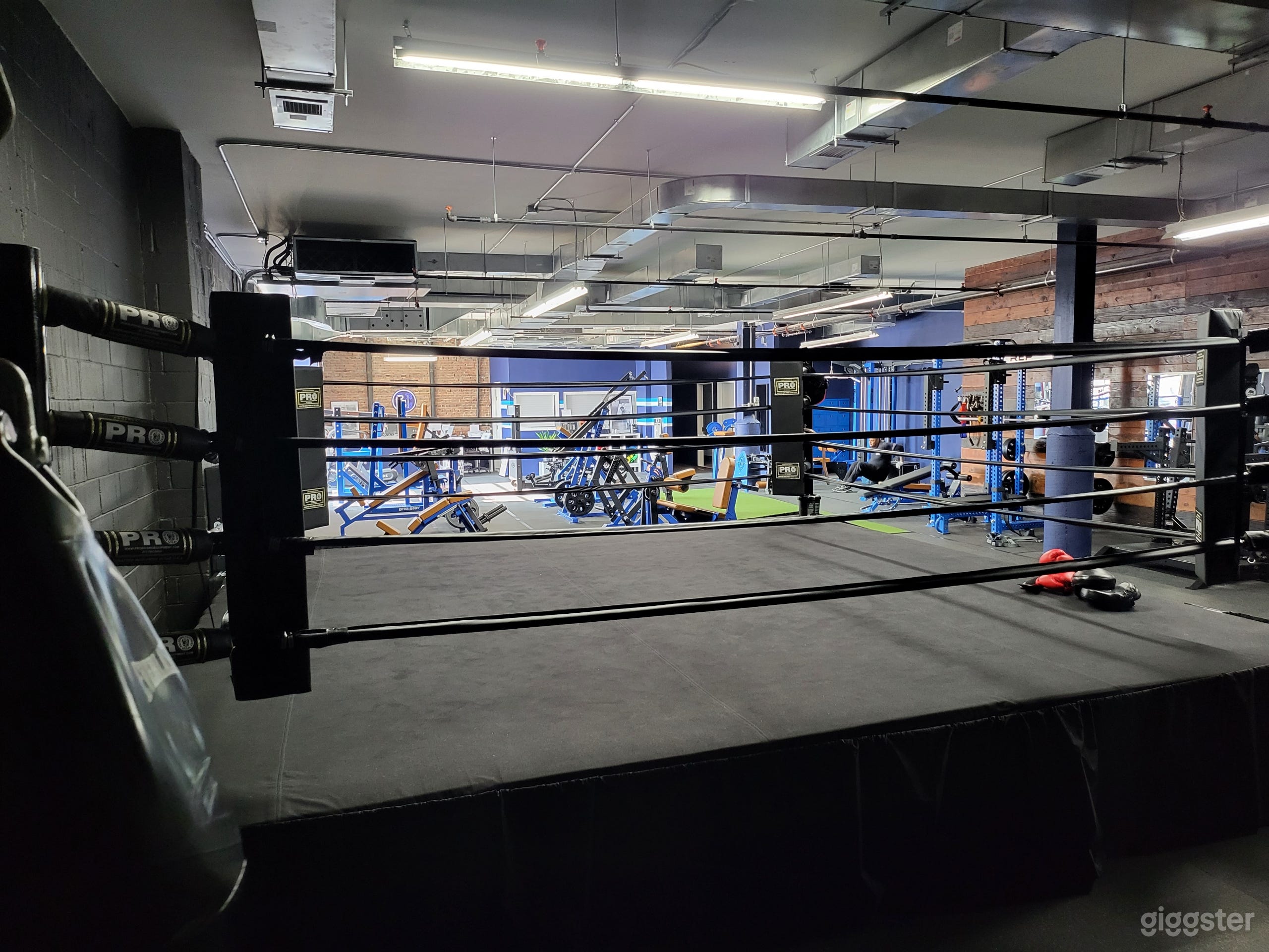 Modern Urban Boxing &amp; Strength Training Gym  Photo 2