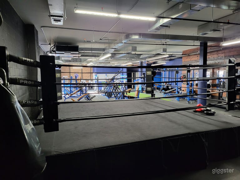  Modern Urban Boxing & Strength Training Gym  