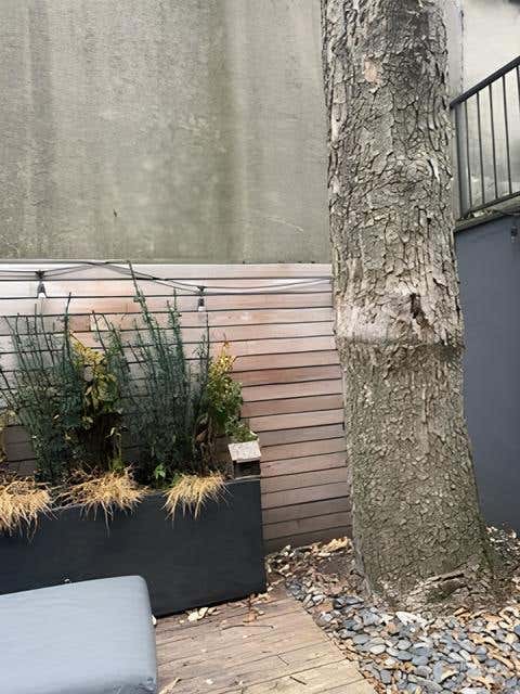 Cozy Backyard Retreat Photo 3