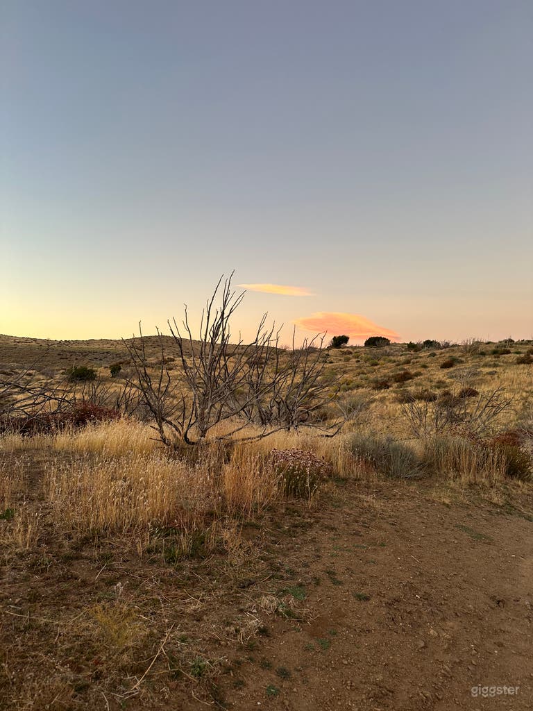  Luxury 4 Bedroom Home in Palmdale “ Joshua Ranch “ 