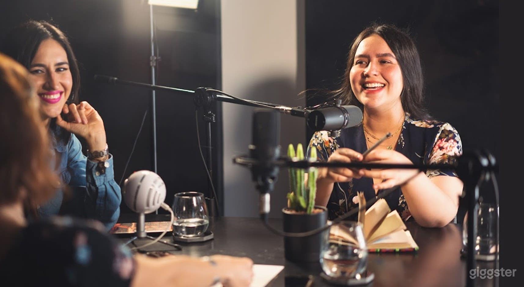 Fully Equipped Pre-Lit Podcast Recording & Live Streaming Studio 1 Photo 3