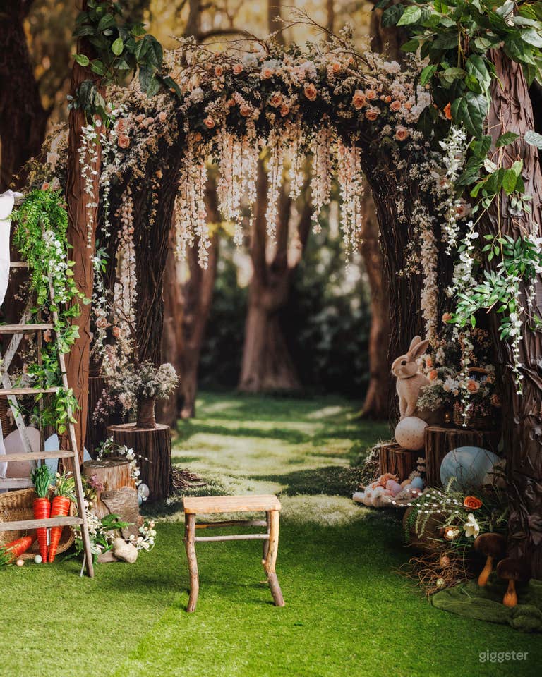  Creative photo/film studio 