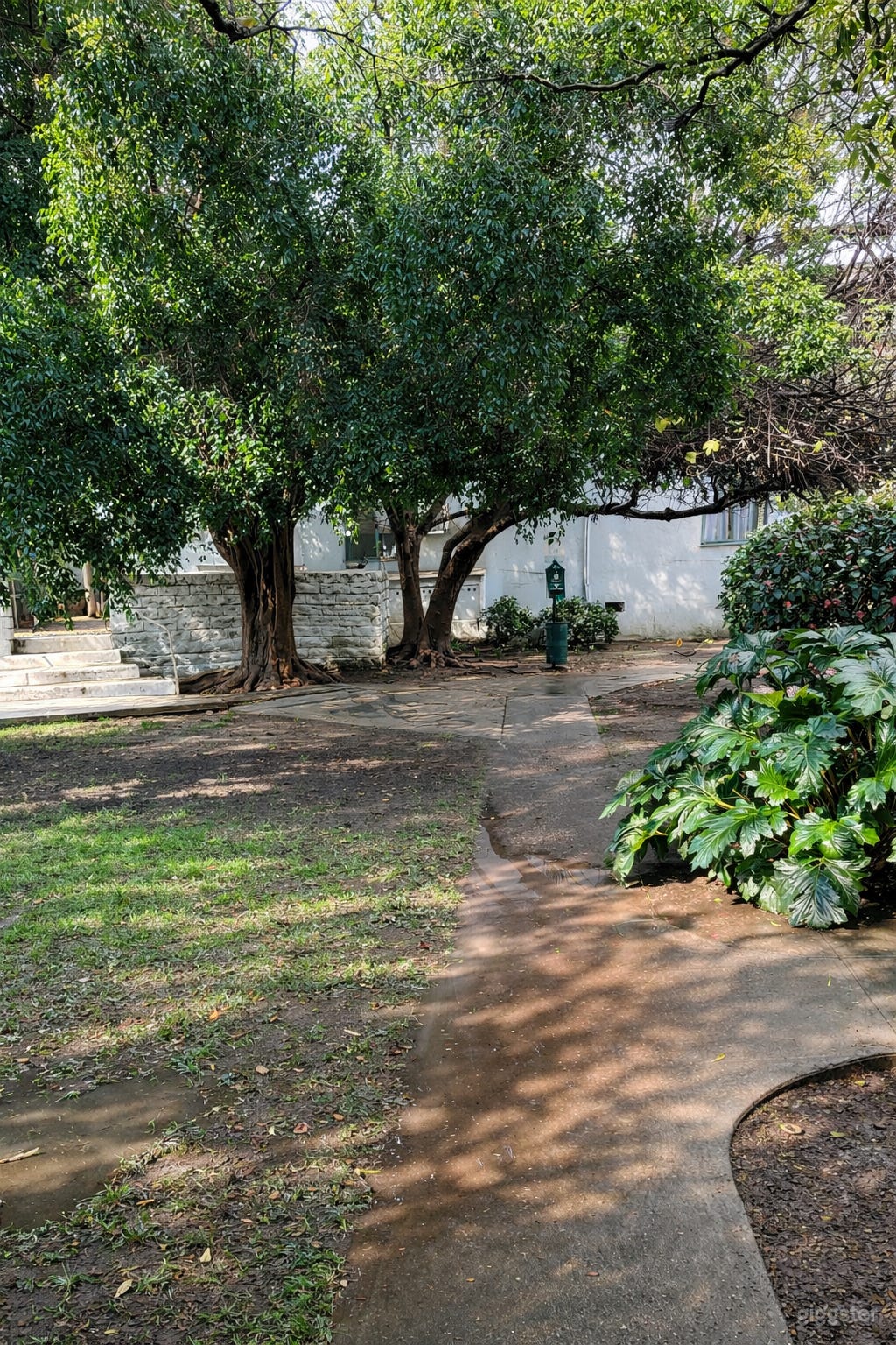 Lush private garden pathway framed by mature trees and dappled sunlight — a cinematic outdoor setting for narrative scenes, interviews, or serene lifestyle visuals.