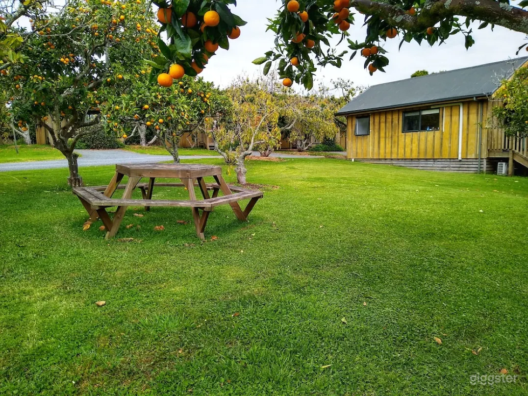 Secluded Family Chalet  Photo 3