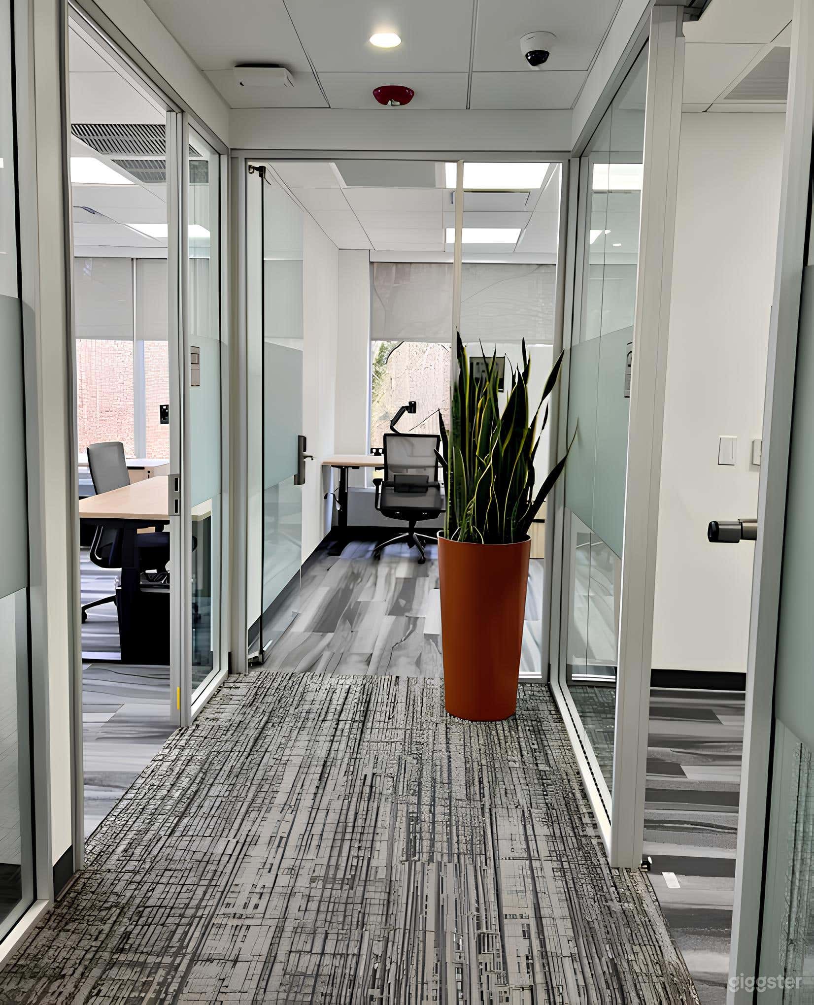 The Day Office  Photo 4