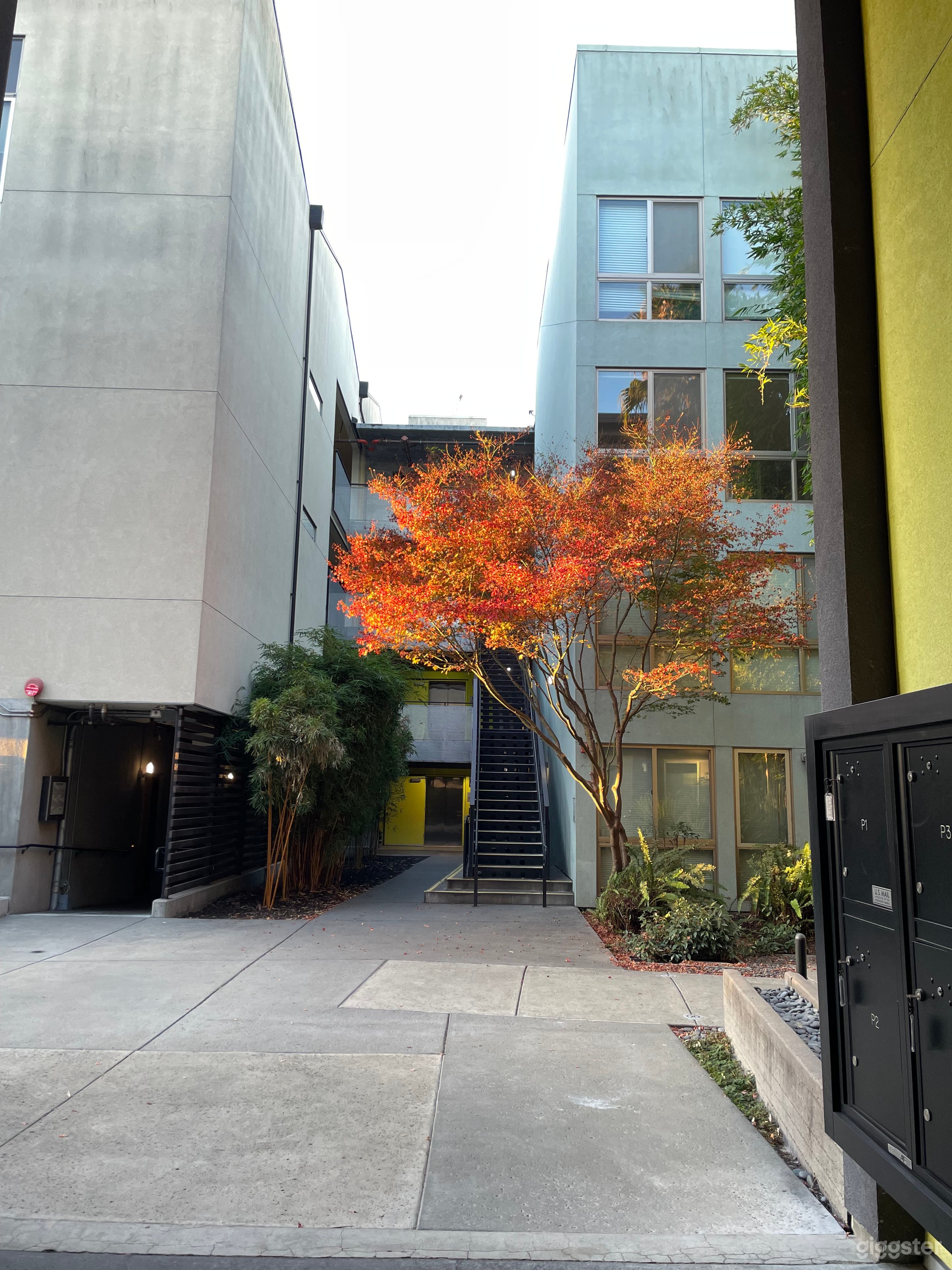 Outside the building 