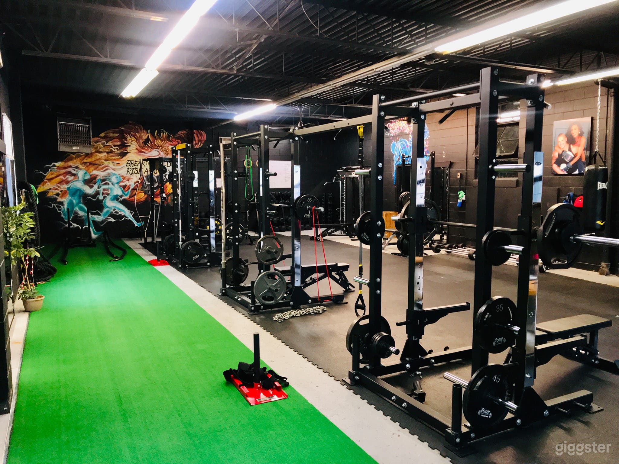 HAMILTON’S TOP ATHLETIC PERFORMANCE GYM FACILITY (BUYOUT) Photo 3
