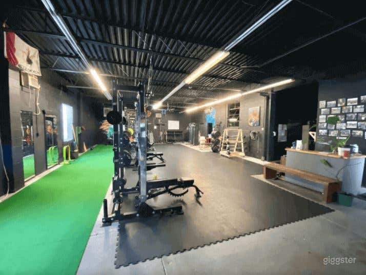 HAMILTON’S TOP ATHLETIC PERFORMANCE GYM FACILITY (BUYOUT) Photo 2
